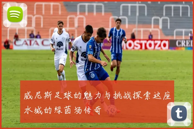 威尼斯足球的魅力与挑战探索这座水城的绿茵场传奇