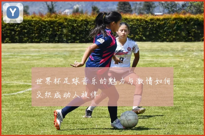 世界杯足球音乐的魅力与激情如何交织成动人旋律