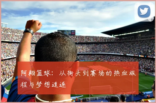 阿翔篮球：从街头到赛场的热血旅程与梦想追逐